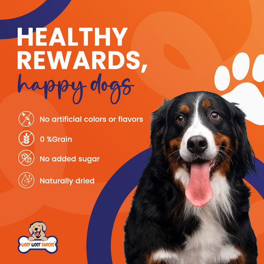 Waarom Kiezen voor 100% Natuurlijke Snacks voor je Hond? Ontdek de Gezondheids-voordelen!