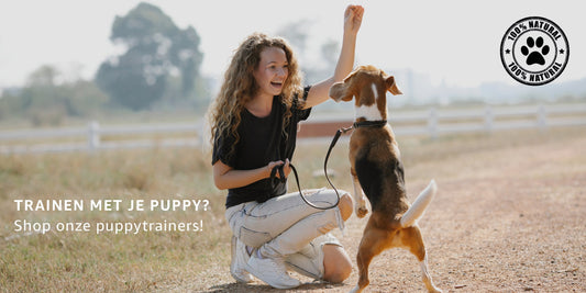 Trainingssnoepjes voor het trainen van je hond. Deze beagle krijgt een trainer van zijn hondentrainer.