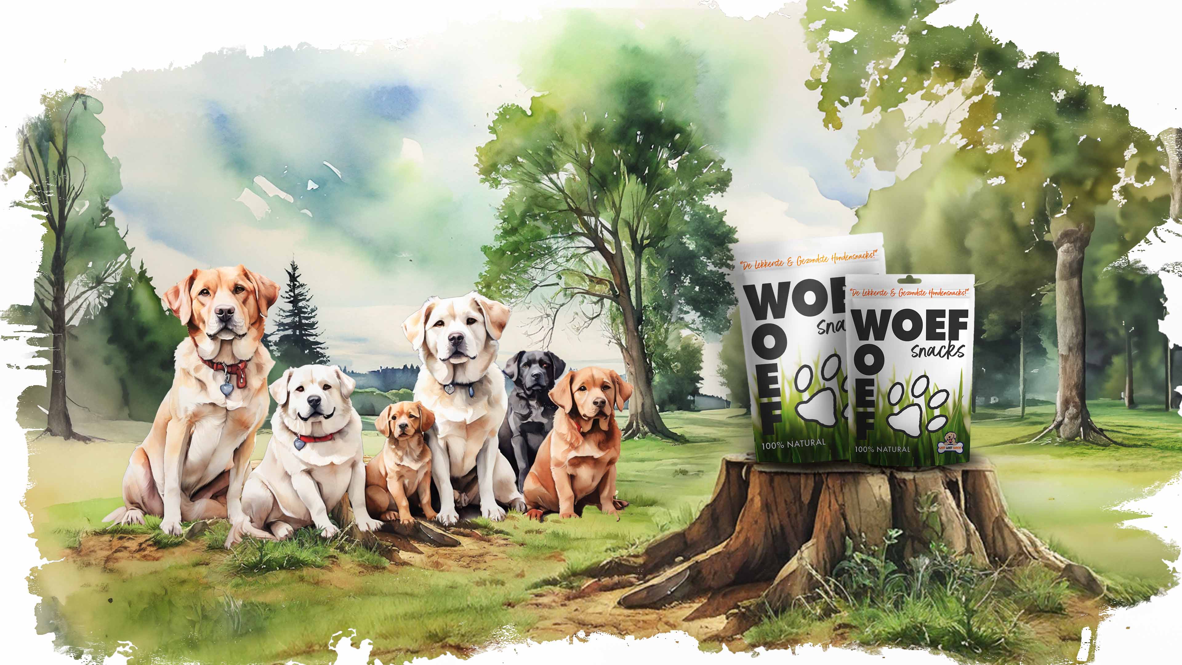 WoefWoef Landing Image