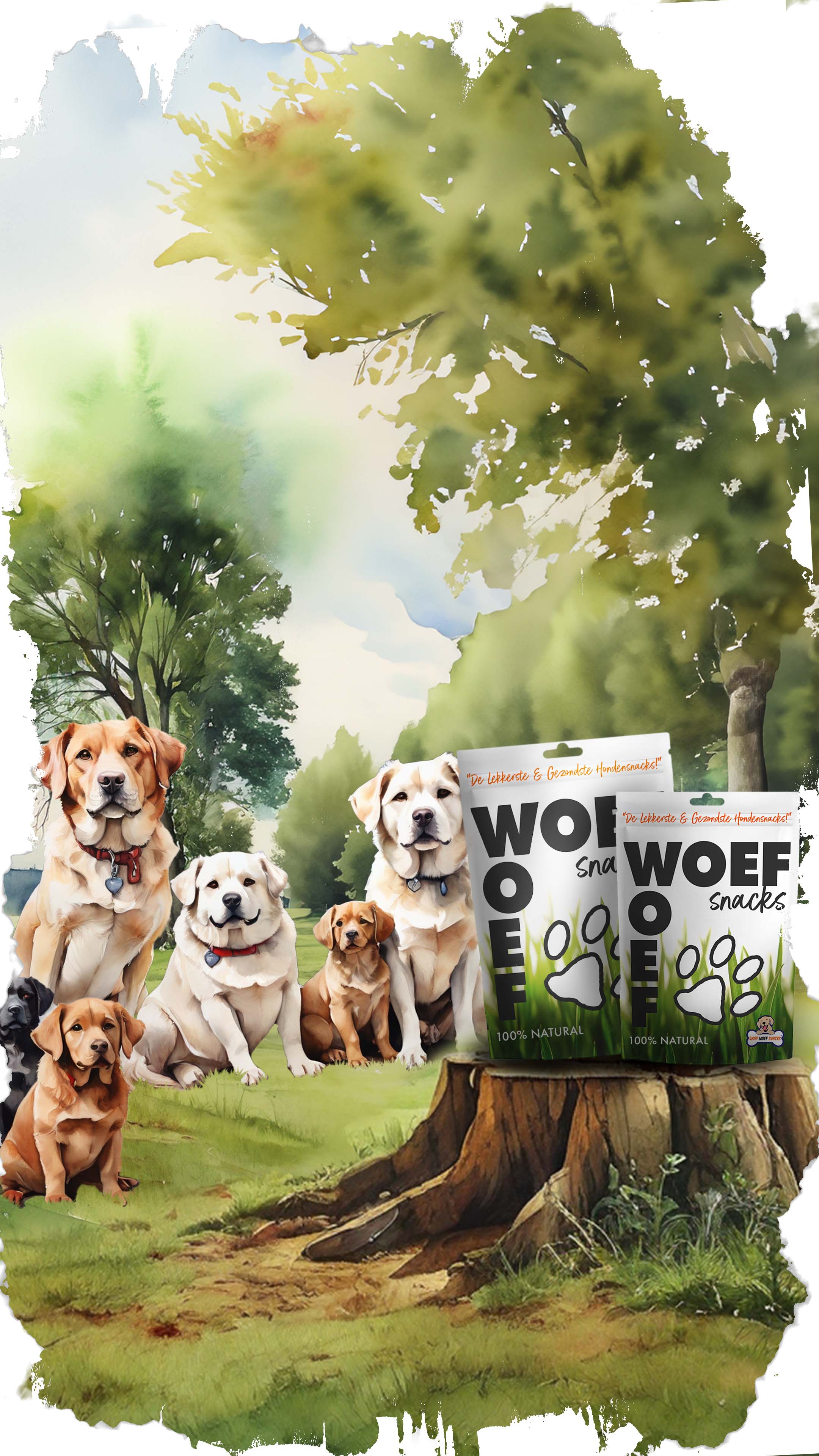 WoefWoefSnacks Landing Image