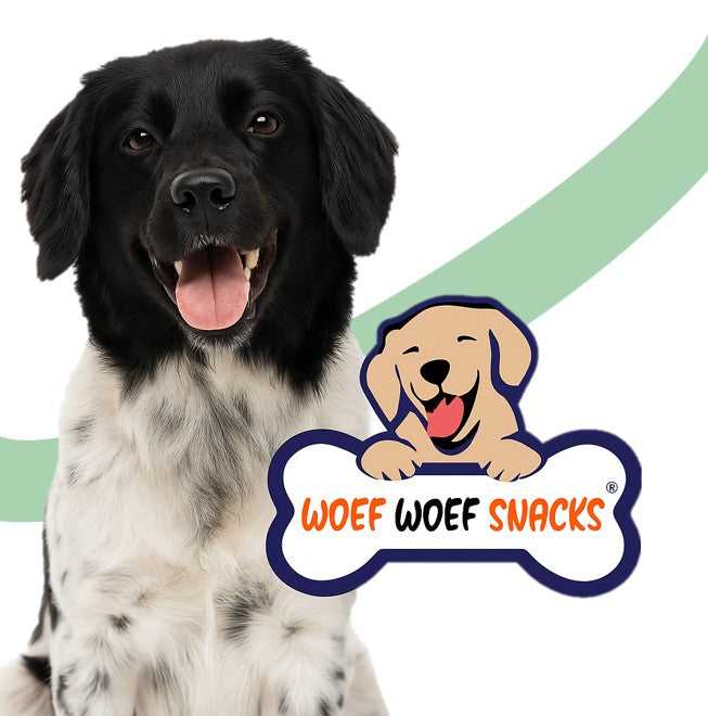 Blije hond die woef woef snacks heeft gekregen.