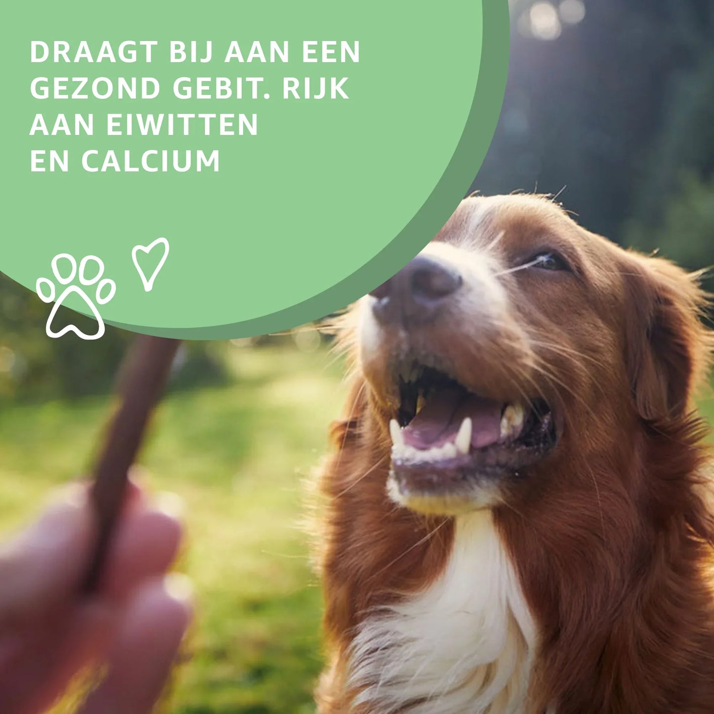 Yakstaafje - Woefwoefsnacks