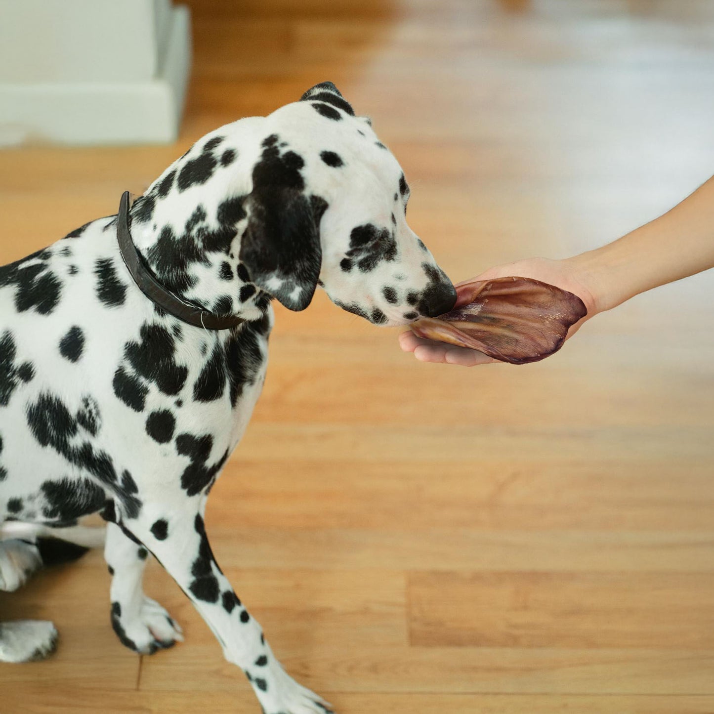 Twee honden de snacks pakken. De snacks in de afbeelding zijn een buffeloor en een ossenstaart.
