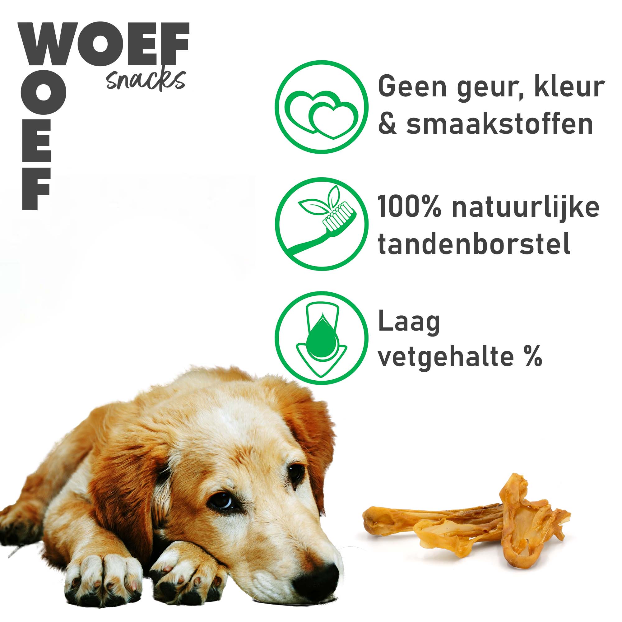 Ierse Setter hond met drie iconen op de foto. Bij het eerste icoon staat, zero geur-, kleur-, & smaakstoffen. Bij het tweede icoon staat dat het een 100% natuurlijke tandenborstel is, en bij het derde icoon staat dat het een laag vetgehalte bevat.