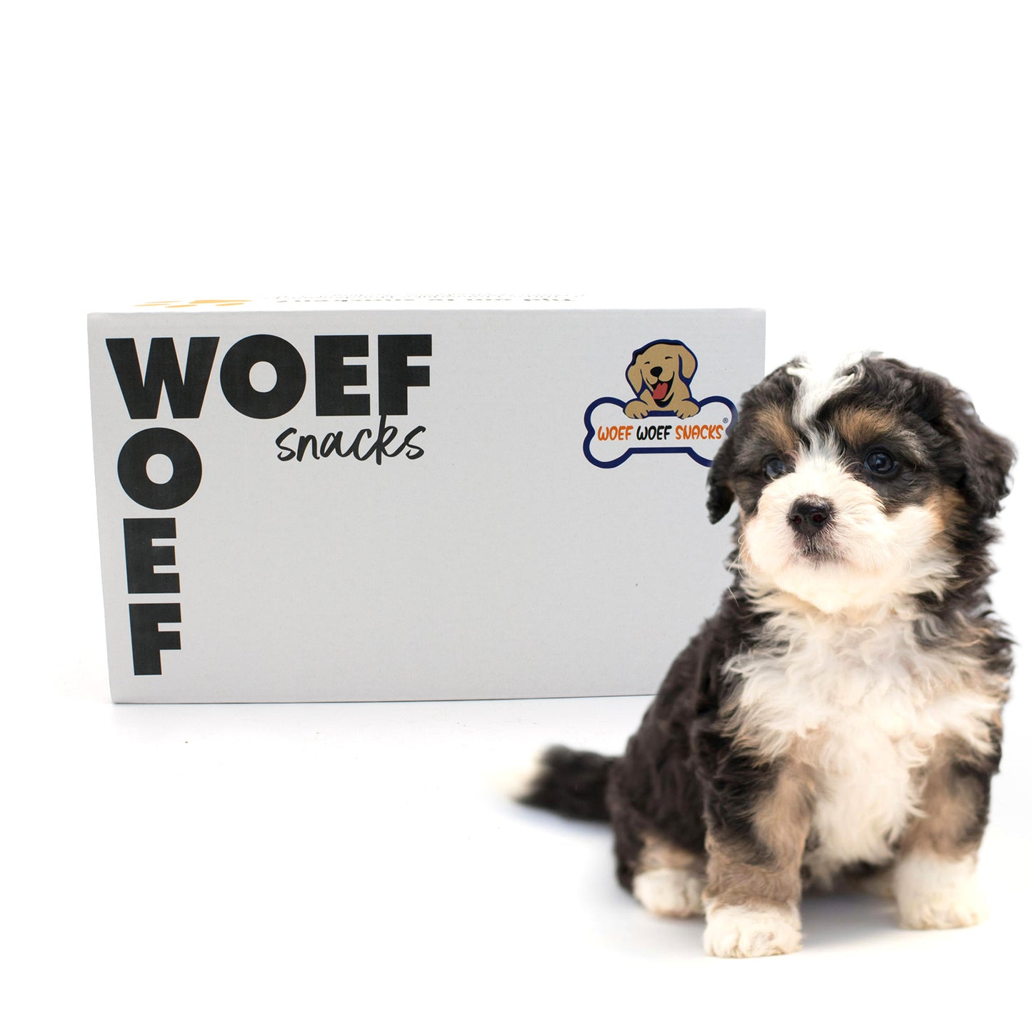Puppy snack box. De doos van het merk Woef Woef Snacks is te zien. Daarnaast zit een blije golden retriever puppy. Verder staat er dat de doos 6 soorten snacks bevat.
