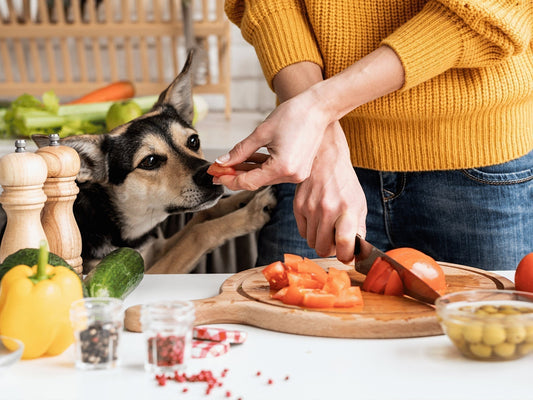 Mag een hond een Tomaat?