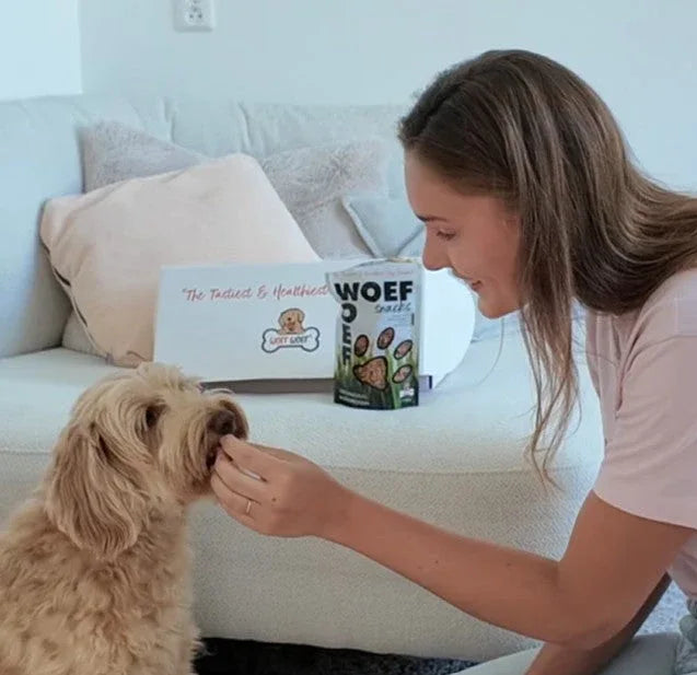 Snackboxen voor honden - Woefwoefsnacks