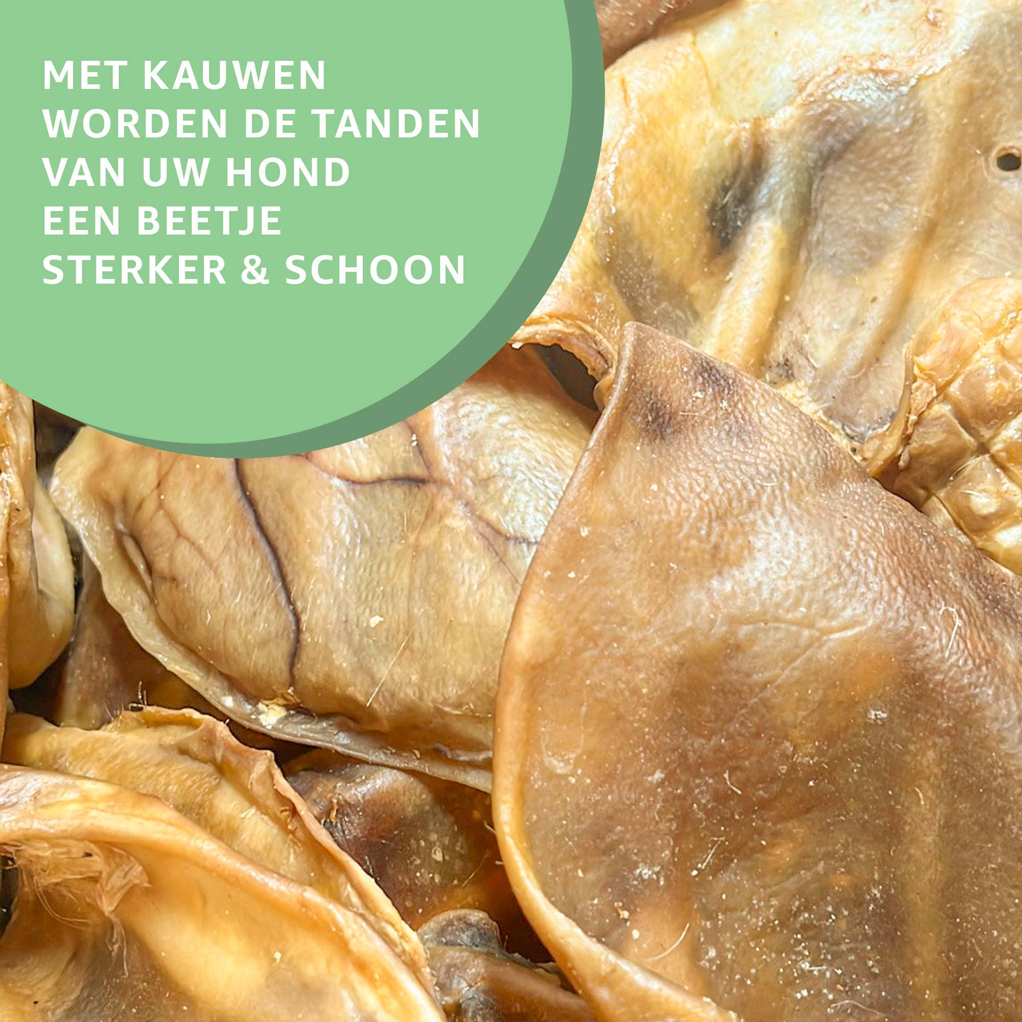  "Gedroogde XXL Varkensoren: Natuurlijke hondensnacks in gedroogde vorm. Geen toegevoegde stoffen, puur kauwplezier en tevredenheid gegarandeerd."