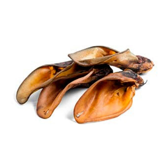 Buffeloren met schelp (Bulk)