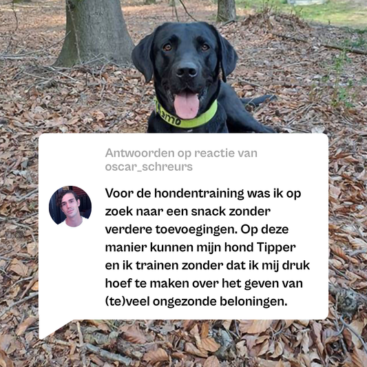 Woof Woof Snackbox (L) 