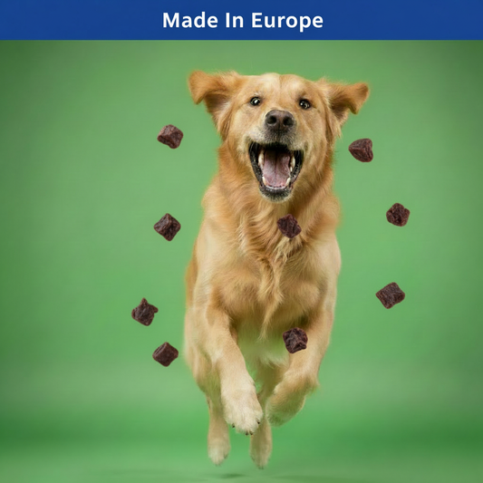 Dog catching very dark lamb treats with Made In Europe banner