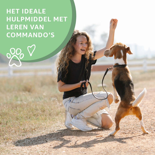 Een hond die een lamslong hondensnack krijgt van Woef Woef Snacks.