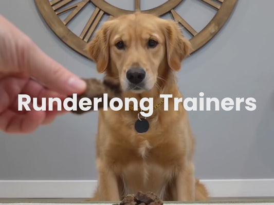 Runderlong Trainers