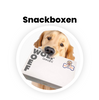 Golden retriever hond die een snackbox van het merk Woef Woef Snacks in zijn mond heeft. 