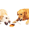 Twee honden de snacks pakken. De snacks in de afbeelding zijn een buffeloor en een ossenstaart.