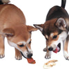Twee honden die druk bezig zijn met het snacken van konijnenoren met haar. Ze zijn aan het genieten. De snacks zijn van Woef Woef Snacks.