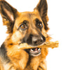Bruin-zwarte duitse herders hond met een natuurlijke snack in zijn mond.