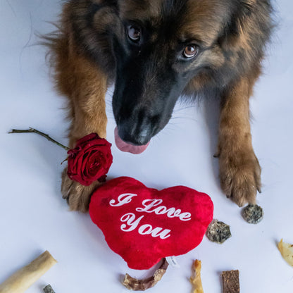 Valentijnsbox met speeltje