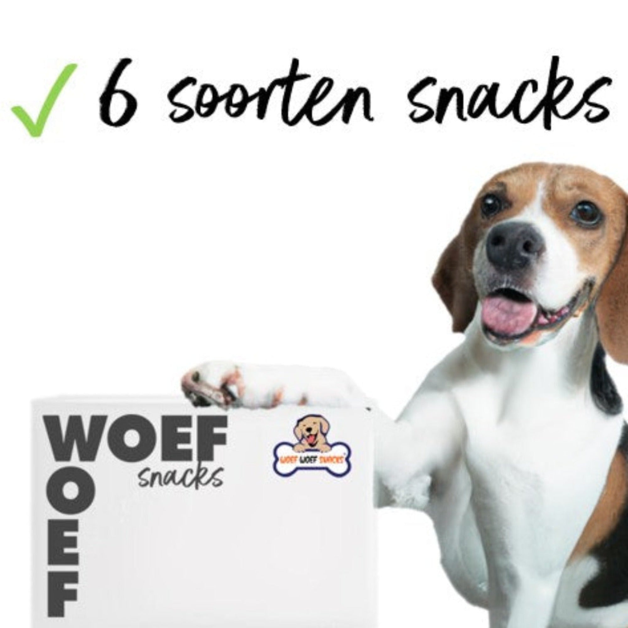 Een Beagle die met een poot leunt op de snack box van Woef Woef Snacks. De snack doos bevat 6 soorten gedroogde snacks die hypoallergeen zijn. 