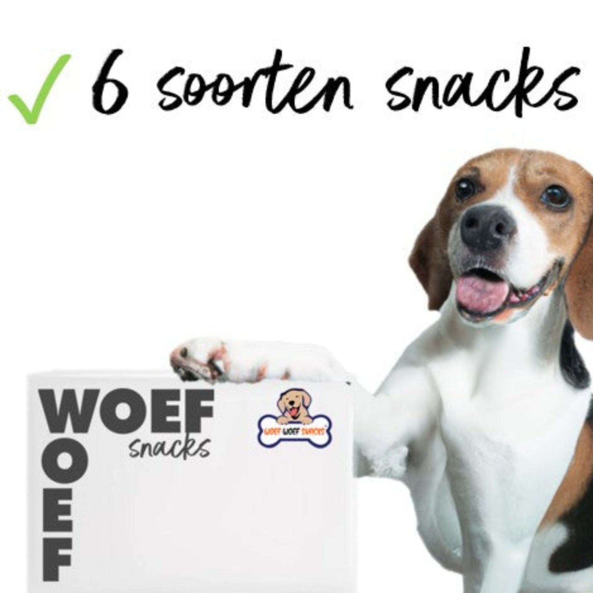 Beagle die aan de kauwsnackbox leunt en blij kijkt.  De snackbox bevat 6 soorten hondensnacks.