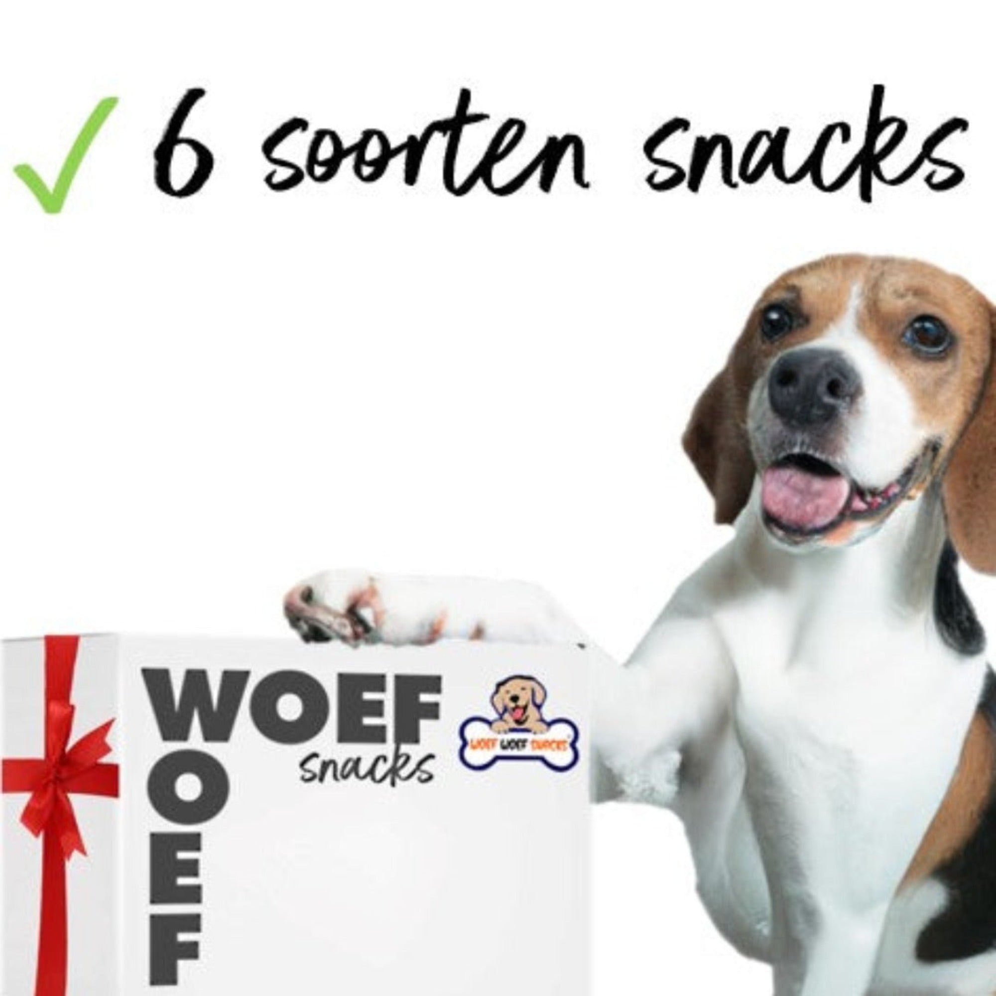 Cadeaubox met een beagle hond er bij. Geweldig cadeau als je verschillende honden snacks wilt geven.