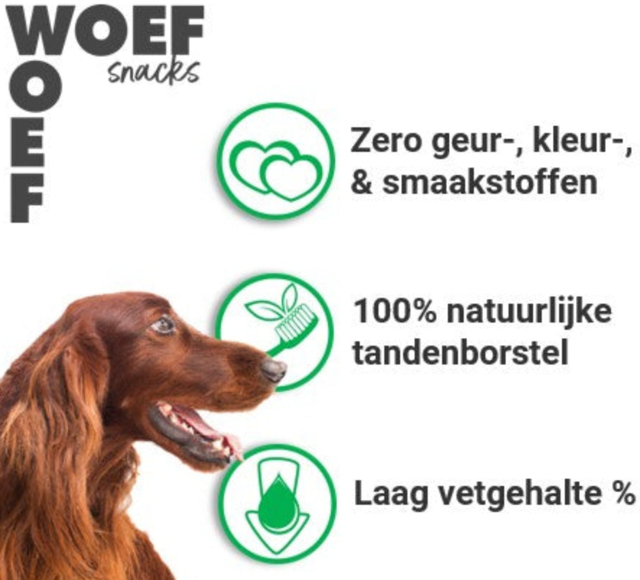 Ierse Setter hond met drie iconen op de foto. Bij het eerste icoon staat, zero geur-, kleur-, & smaakstoffen. Bij het tweede icoon staat dat het een 100% natuurlijke tandenborstel is, en bij het derde icoon staat dat het een laag vetgehalte bevat.