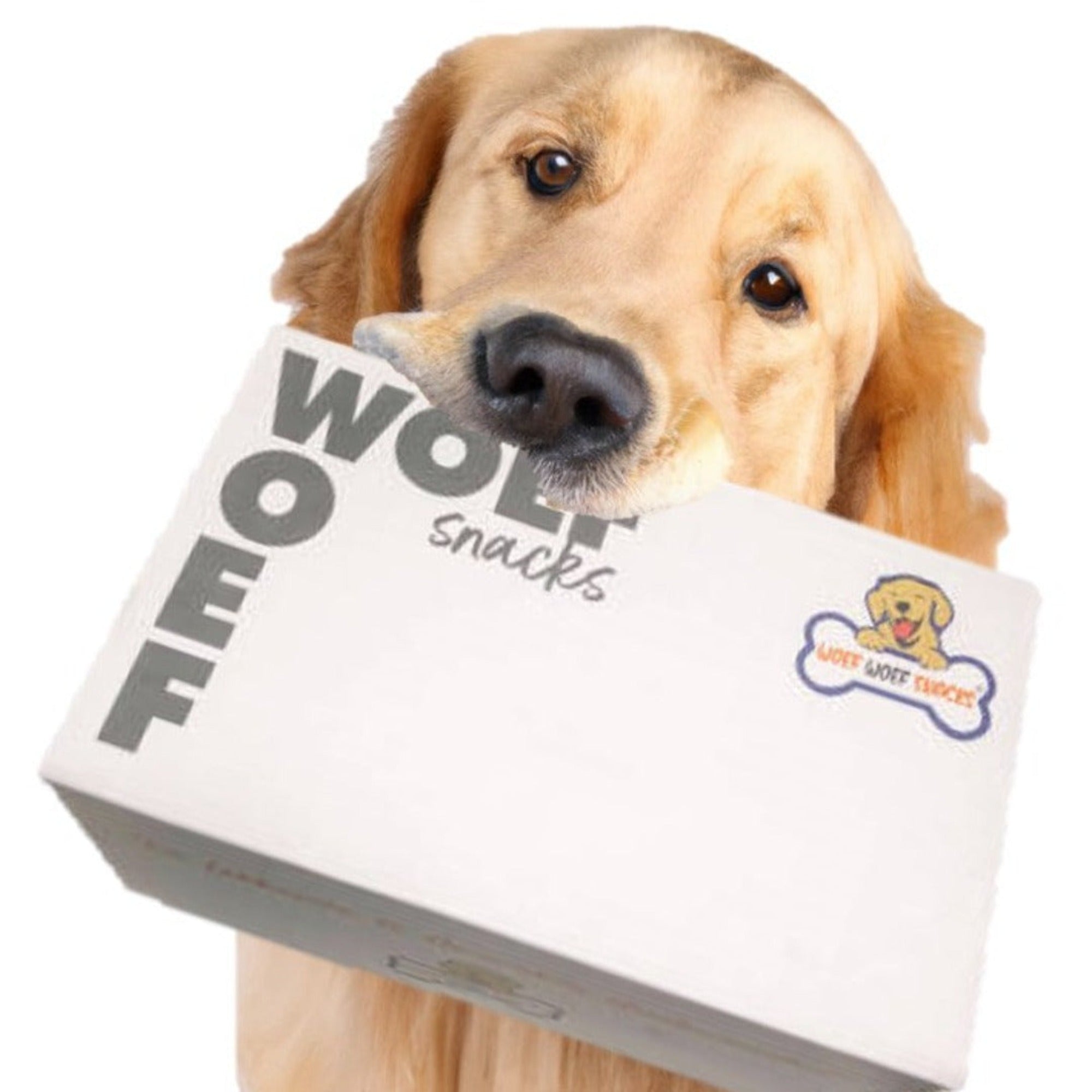 Golden retriever met de Woef Woef Snackbox in zijn mond. De achtergond is wit.