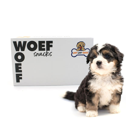 Puppy snack box. De doos van het merk Woef Woef Snacks is te zien. Daarnaast zit een blije golden retriever puppy. Verder staat er dat de doos 6 soorten snacks bevat. 